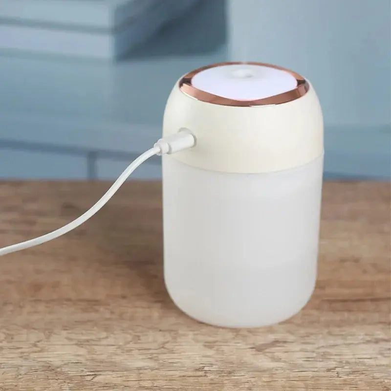 Mini USB portatile umidificatore diffusore di aromi LED luce fredda 330ml nebbia per camera casa auto purificatore di piante